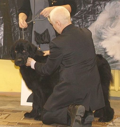 Фотография № 111819