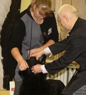 Фотография № 111820