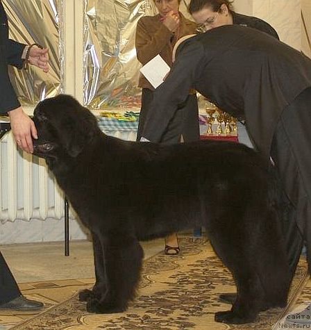 Фотография № 111822