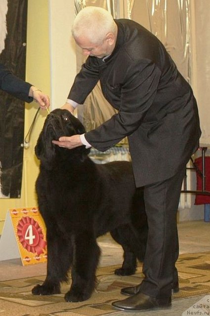 Фотография № 111823