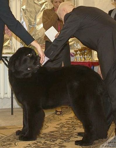 Фотография № 111824