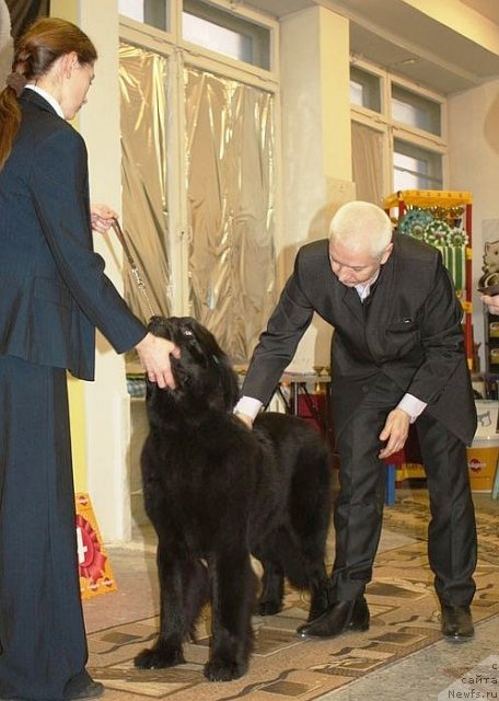 Фотография № 111825