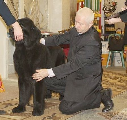 Фотография № 111829