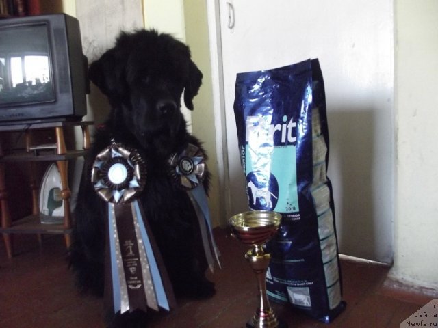 Фотография № 111834