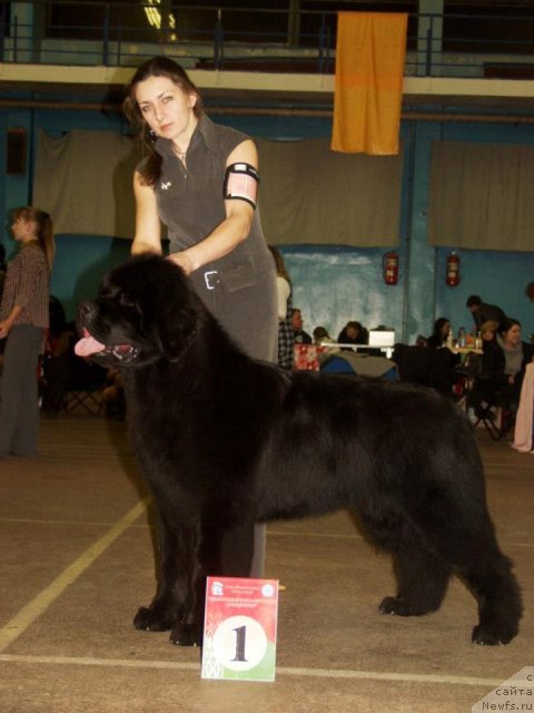 Фотография № 111845