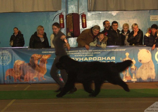 Фотография № 111847