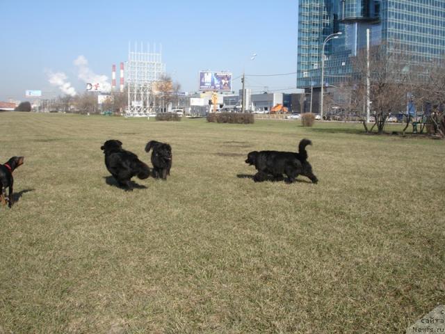 Фото: Саня, Ваня и Джесса