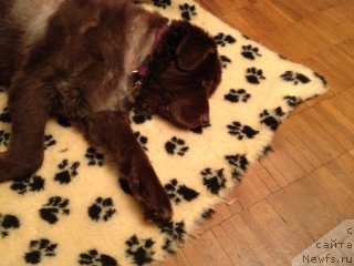 Фотография № 111860