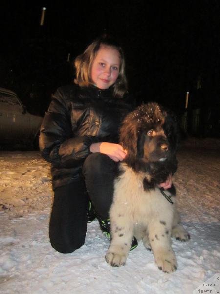 Фотография № 111865