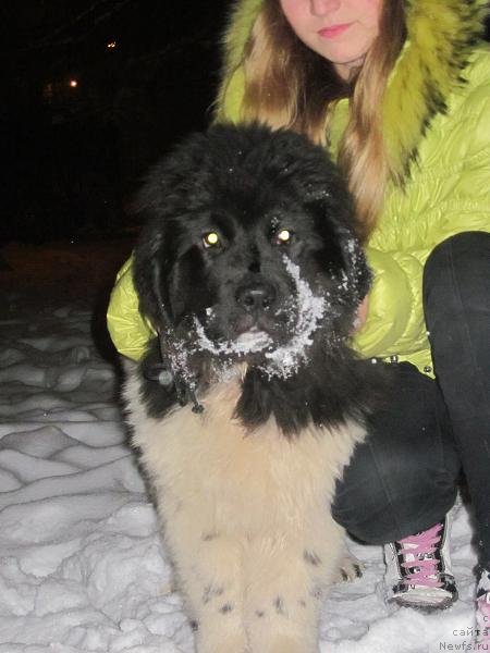 Фотография № 111866