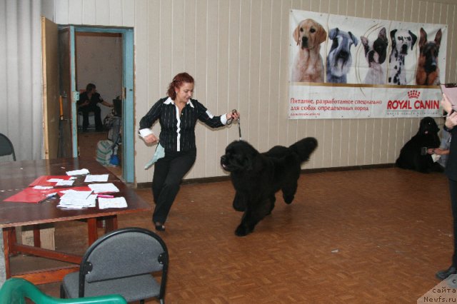 Фотография № 111921