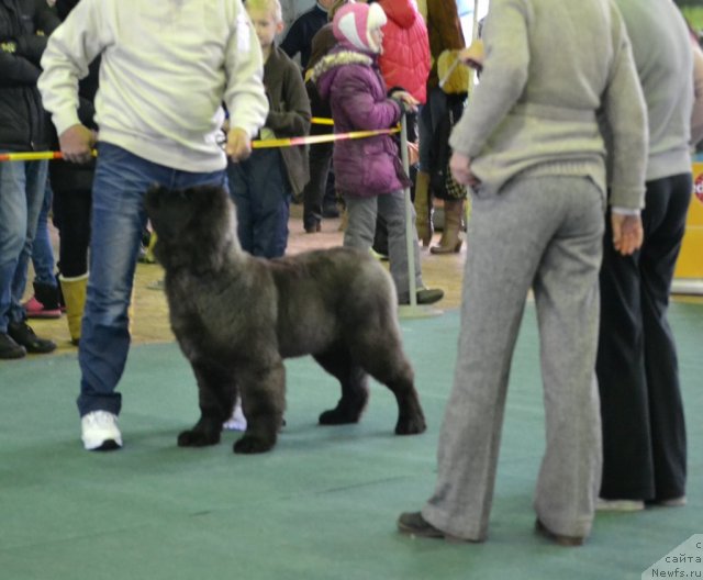 Фотография № 111955