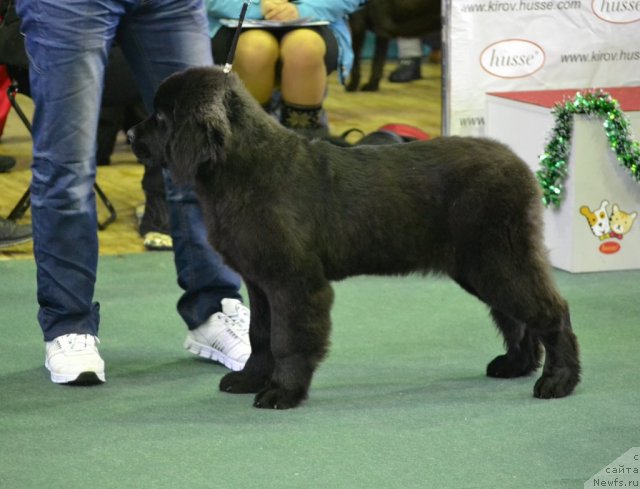 Фотография № 111956