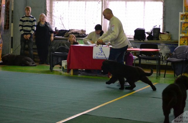 Фотография № 111957