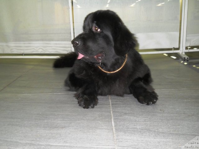 Фотография № 111993