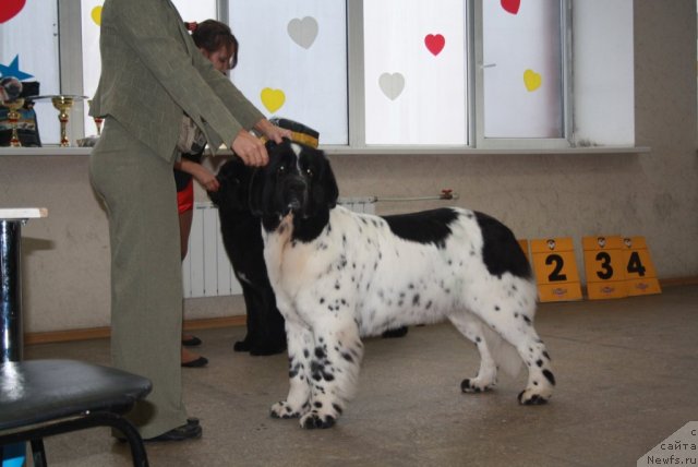 Фотография № 112005