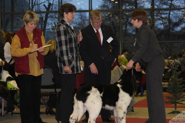 Фотография № 112008