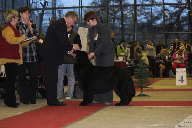 Фотография № 112012