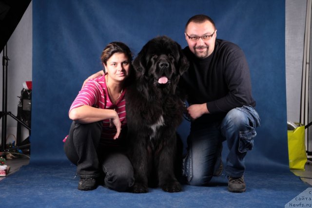 Фото: ньюфаундленд Питерньюф Монте Кристо (Piternyuf Monte Kristo), Дарья Хижняк, Алексей Хижняк