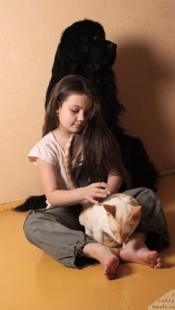 Фотография № 112048