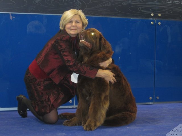 Фотография № 112074