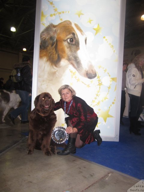 Фотография № 112075