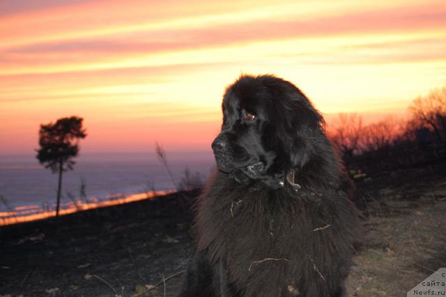 Фотография № 11208