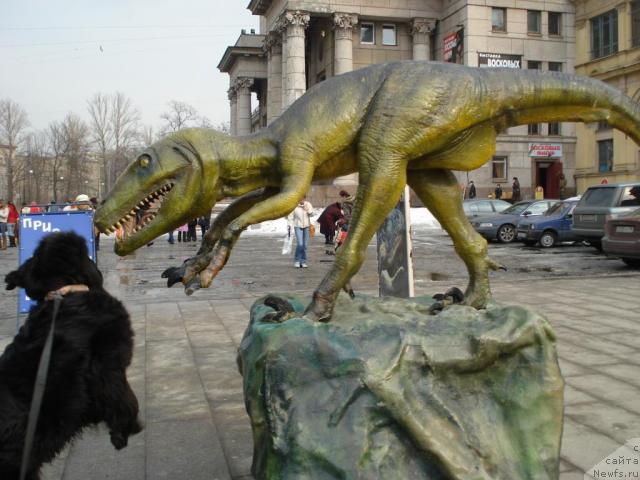 Фотография № 11211