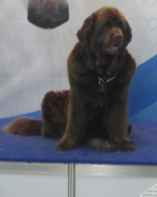 Фотография № 112113