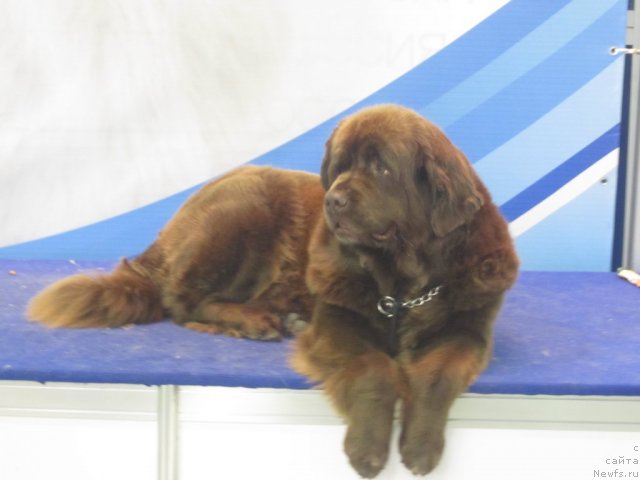 Фотография № 112114