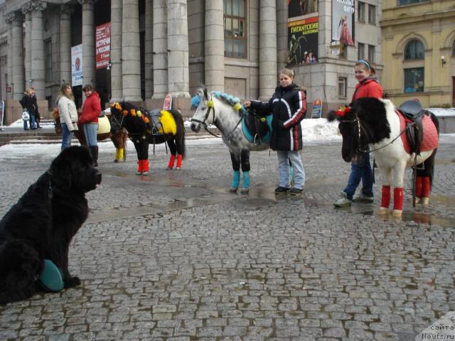 Фотография № 11212