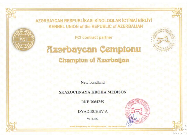 Фото: ньюфаундленд Сказочная Кроха Медисон (Skazochnaya Kroha Medison)