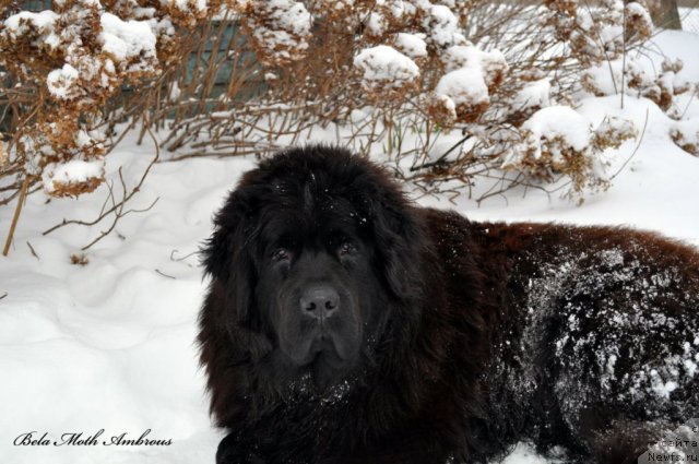 Фотография № 112154