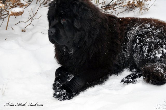 Фотография № 112155