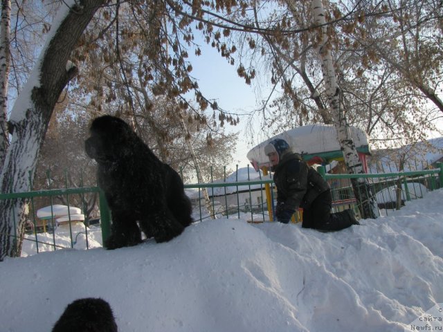 Фото: Два сыночка - Слава и [d11088]