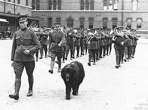 Фотография № 112186