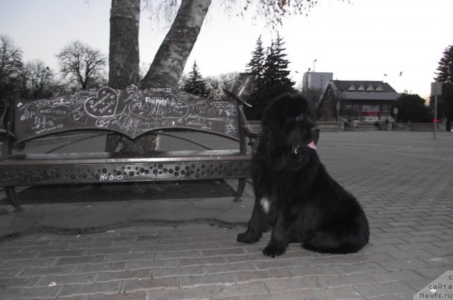 Фото: Елена Кирпа