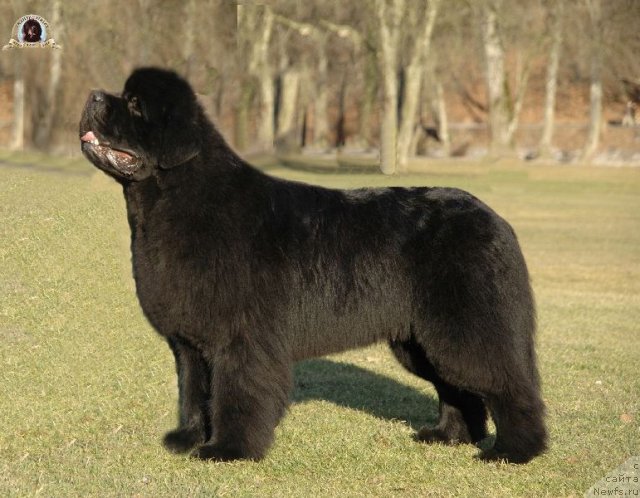 Фотография № 112197