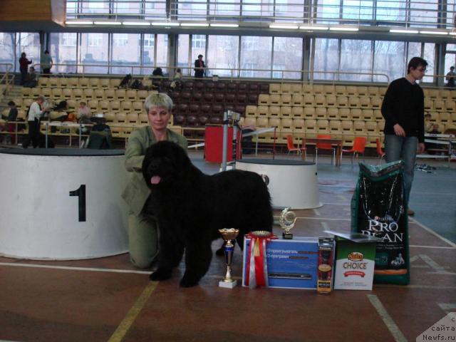 Фотография № 11224