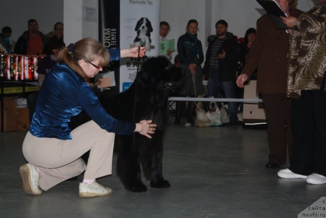 Фотография № 112277