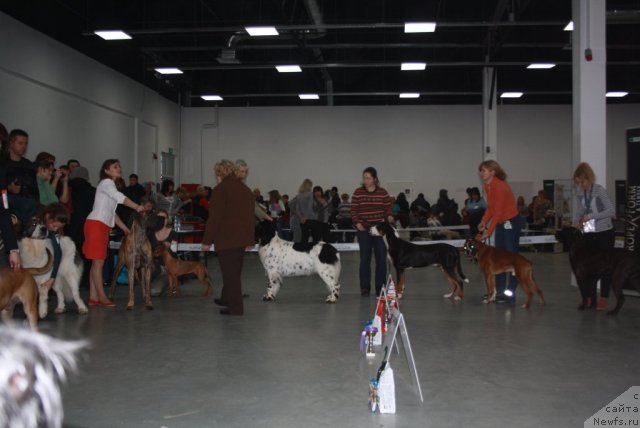 Фотография № 112280