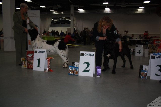 Фотография № 112281