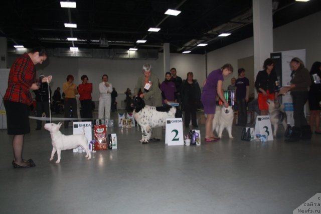 Фотография № 112284