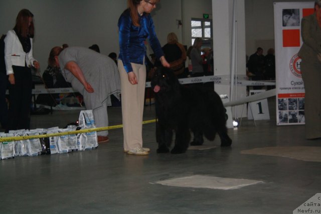 Фотография № 112290