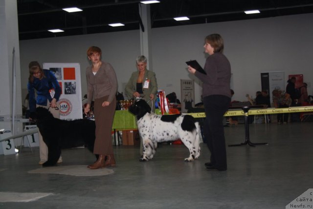 Фотография № 112291