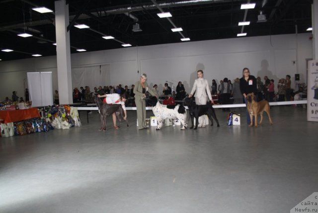 Фотография № 112292