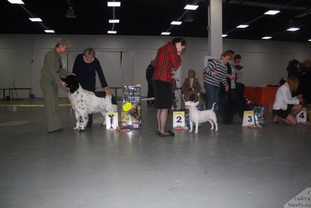 Фотография № 112293