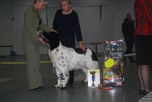 Фотография № 112294