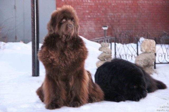 Фотография № 112358