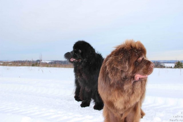 Фотография № 112363